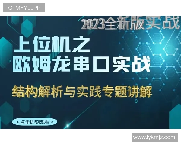 西安排球队反击体系的战术解析与实践经验分享